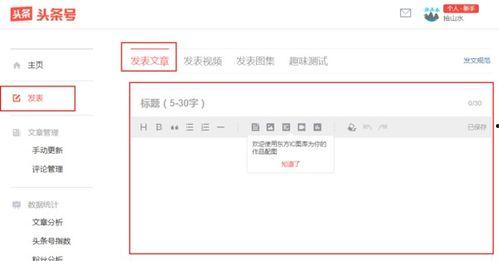 头条怎么发表文章排版,打造引人注目的副标题