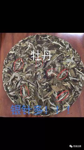 如何看寿眉的料,揭秘茶叶原料的奥秘