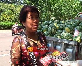 吃瓜群众怎么选老公,如何慧眼识珠，挑选理想老公